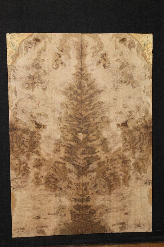 Smoked Scottish oak burl book matched guitar top.  Personal stash piece.