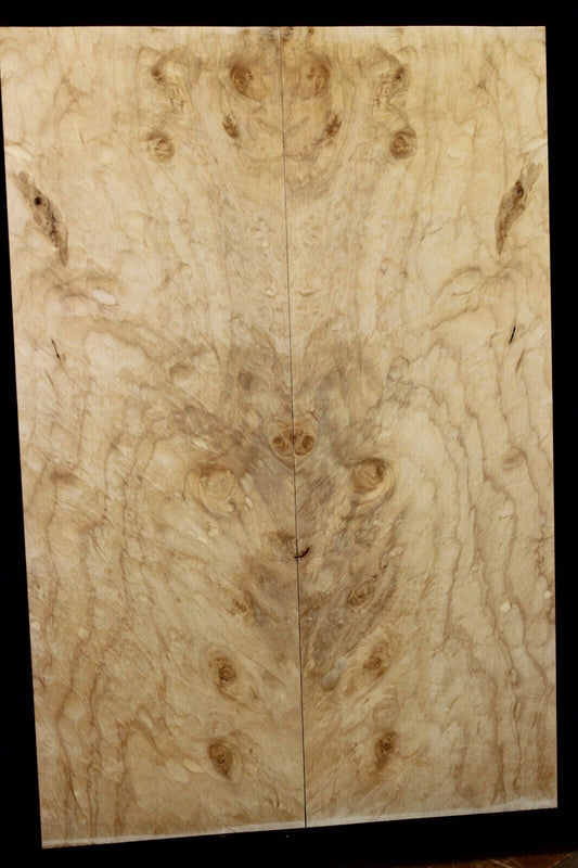Silver maple, burl / lace figured guitar book matched top.