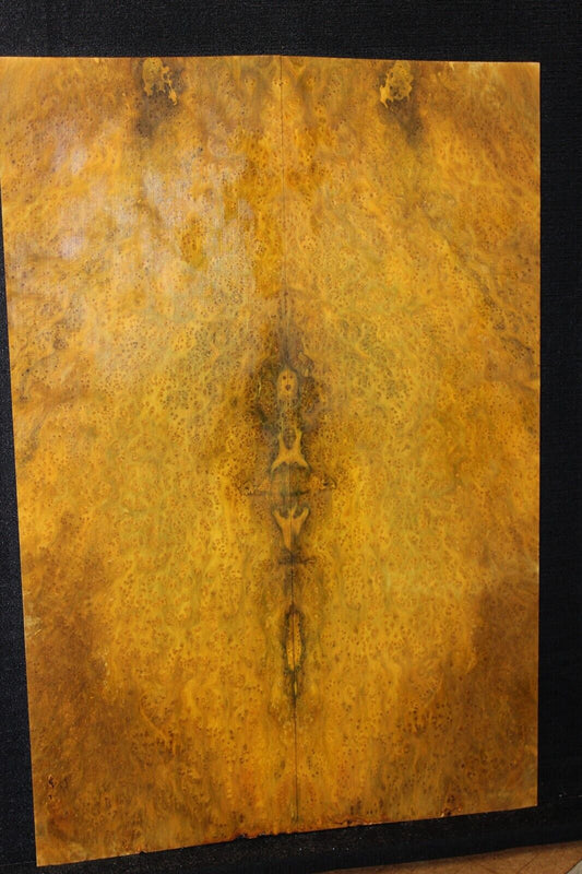 Golden Amboyna burl book matched guitar top.