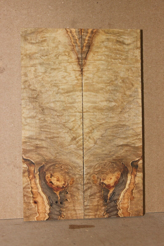 Curly ambrosia maple knife scale, gun grip. Insane tight figure 5.75 X 2 X 3/8"
